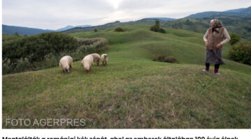 Képernyőkép 2023-12-11 120712