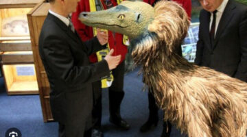 Képernyőkép 2023-12-11 150401