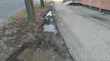 Képernyőkép 2023-12-17 064546