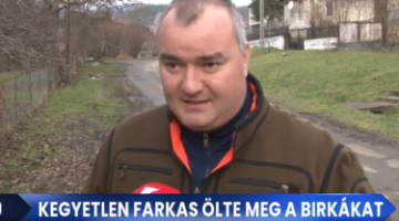 Képernyőkép 2024-01-04 085606