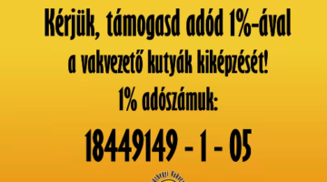 Képernyőkép 2024-01-18 125100