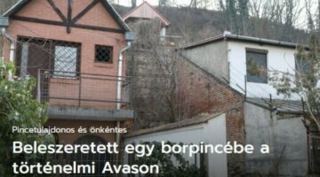 Kepernyokep-2024-01-22-094419-524x365