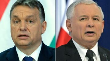 Képernyőkép 2024-01-23 211800