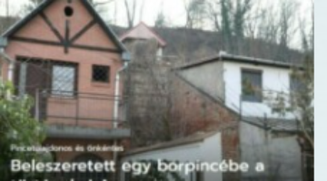 Képernyőkép 2024-02-01 205410