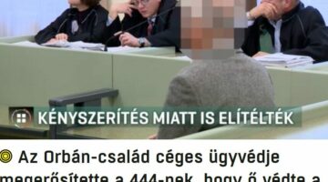 Képernyőkép 2024-02-11 150257