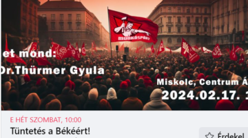 Képernyőkép 2024-02-14 084240