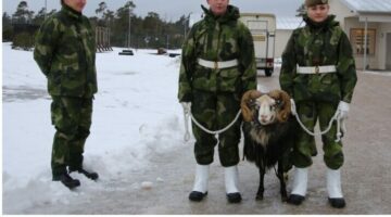 Képernyőkép 2024-02-20 094801