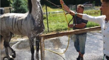 Képernyőkép 2024-03-09 064230