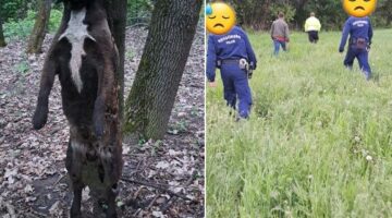 Képernyőkép 2024-04-22 102809