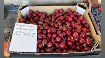 Képernyőkép 2024-05-08 212249