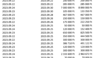 Képernyőkép 2024-05-09 132943