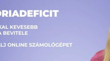 Képernyőkép 2024-05-23 212912