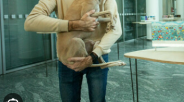 Képernyőkép 2024-05-30 063338