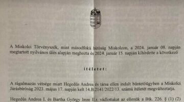 Képernyőkép 2024-06-03 170900
