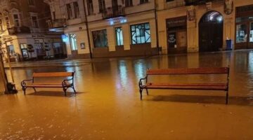 Képernyőkép 2024-06-10 094627