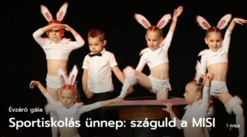 Képernyőkép 2024-06-19 211203