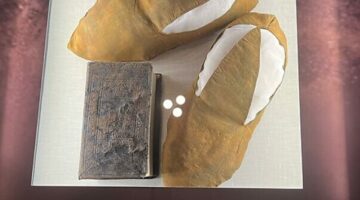 Képernyőkép 2024-07-02 070444