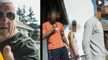 Képernyőkép 2024-07-08 090659