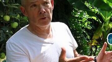 Képernyőkép 2024-07-10 063742