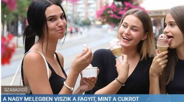 Képernyőkép 2024-07-12 171202