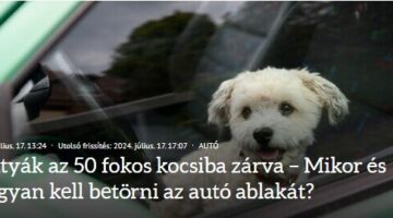Képernyőkép 2024-07-18 134625