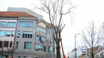 Képernyőkép 2024-07-22 101009