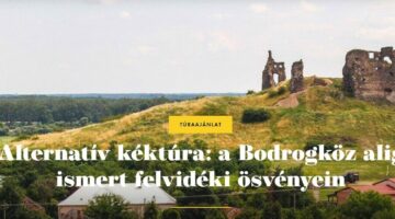 Képernyőkép 2024-07-22 143954