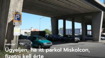 Képernyőkép 2024-08-01 081707