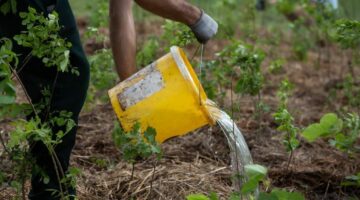 Képernyőkép 2024-08-01 193734