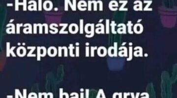Képernyőkép 2024-08-09 125433