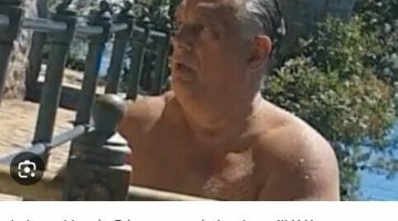 Képernyőkép 2024-08-17 065641