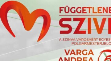 Képernyőkép 2024-08-17 172537