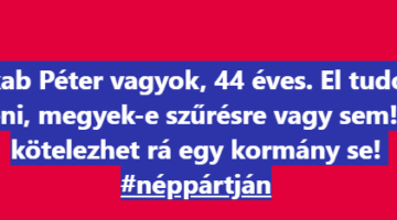 Képernyőkép 2024-08-17 181747
