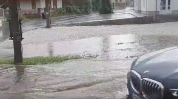 Képernyőkép 2024-08-22 070750