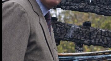 Képernyőkép 2024-10-11 183723