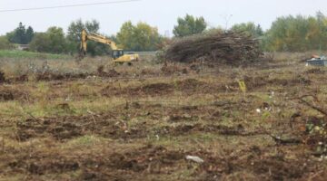 Képernyőkép 2024-10-15 190635