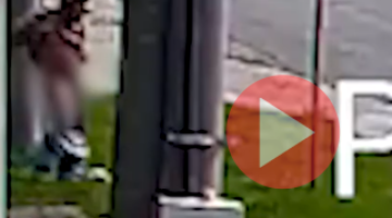 Képernyőkép 2024-10-16 064659