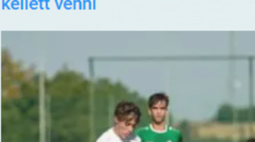 Képernyőkép 2024-10-16 141034