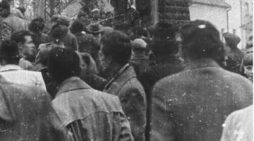 Képernyőkép 2024-10-23 055133