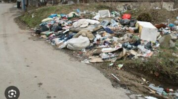 Képernyőkép 2024-11-08 064626