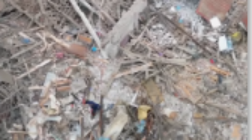 Képernyőkép 2024-11-15 055413