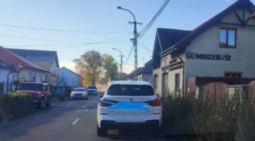 Képernyőkép 2024-11-21 120247