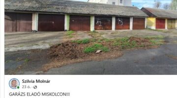 Képernyőkép 2024-11-23 140421