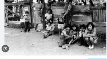 Képernyőkép 2024-11-28 182026