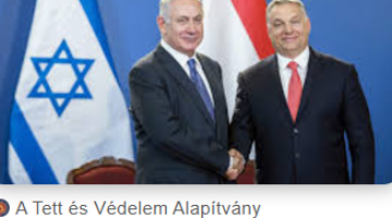 Képernyőkép 2024-11-30 053817