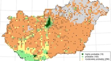 Képernyőkép 2024-12-04 060857