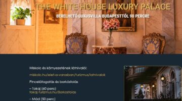 Képernyőkép 2024-12-08 084332
