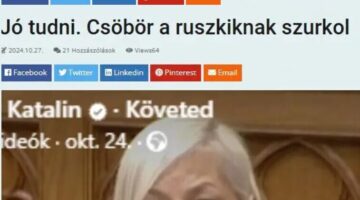 Képernyőkép 2024-12-08 151025