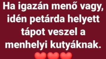 Képernyőkép 2024-12-12 065310