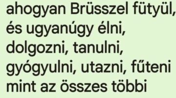 Képernyőkép 2024-12-12 193843